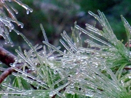 Crystalized