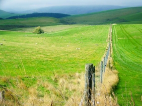 Scotland Countryside